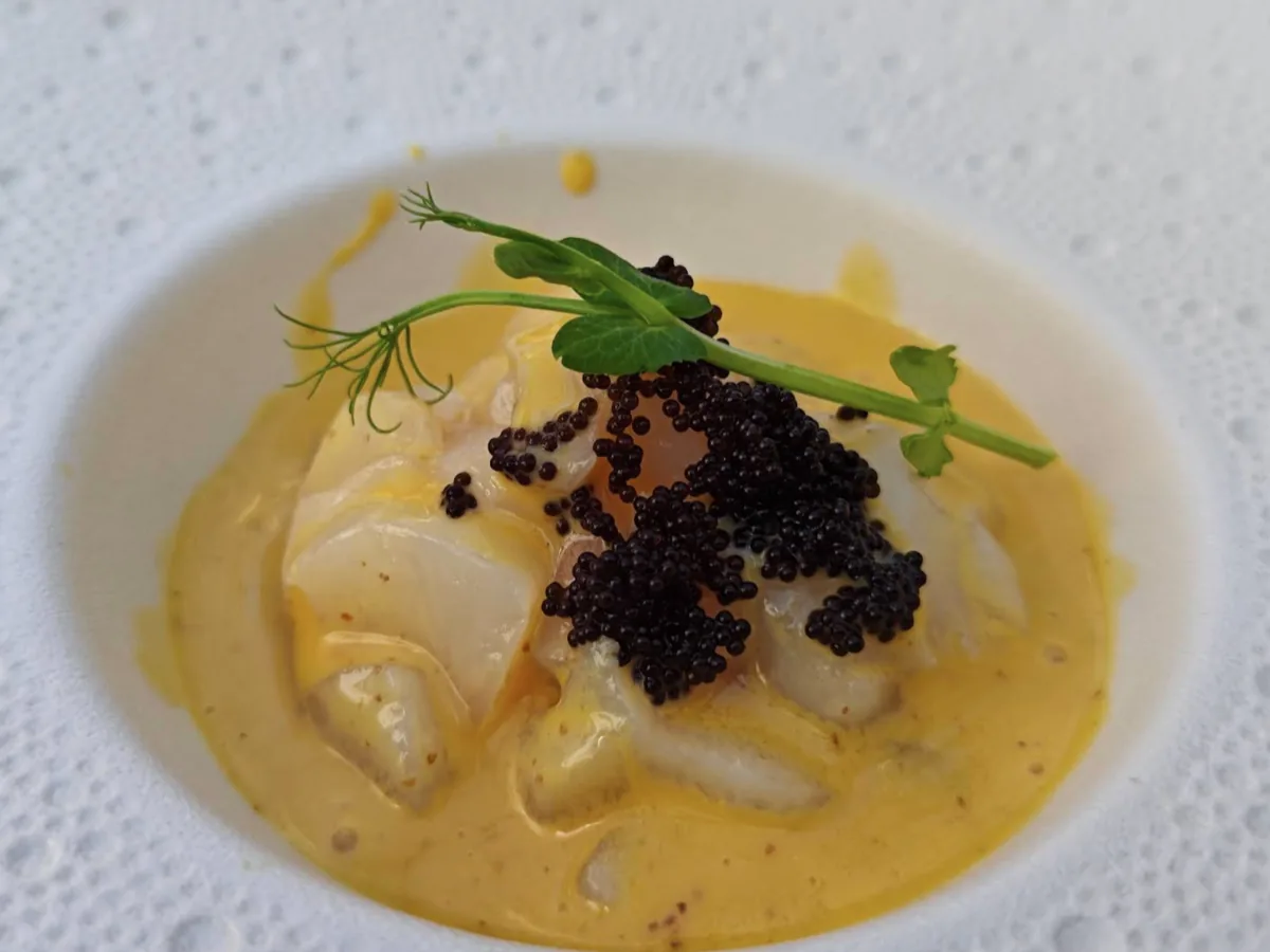Vieira con caviar y salsa de azafrán — Boracay, Torrevieja